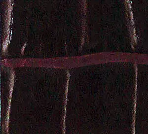C749367 image